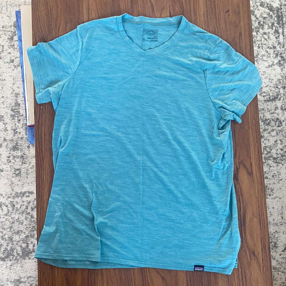 Patagonia Merino Wool T-Shirt